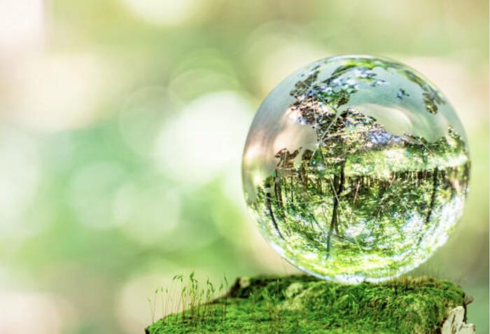 A glass sphere resting on moss, reflecting the green world around it